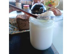 Yaourt de brebis - 400g en verre